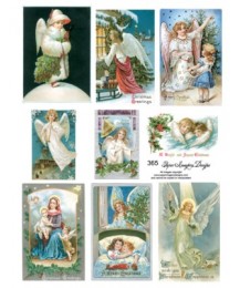 Angels 365